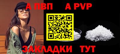 стафф Шелехов
