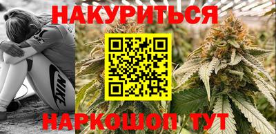 стафф Шелехов