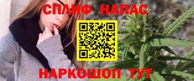 гидра Шахты
