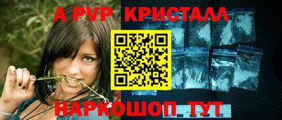 стафф Шелехов