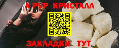 стафф Шелехов