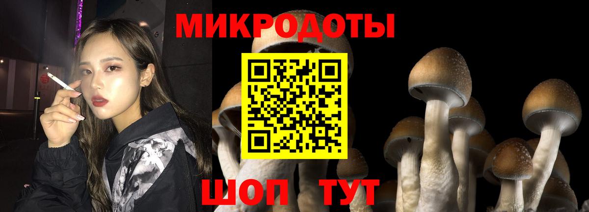 Псилоцибиновые грибы GOLDEN TEACHER Белебей